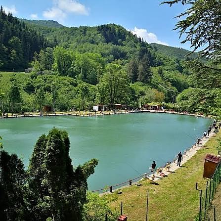 Il laghetto di pesca sportiva di Spedaletto, immerso nel bosco